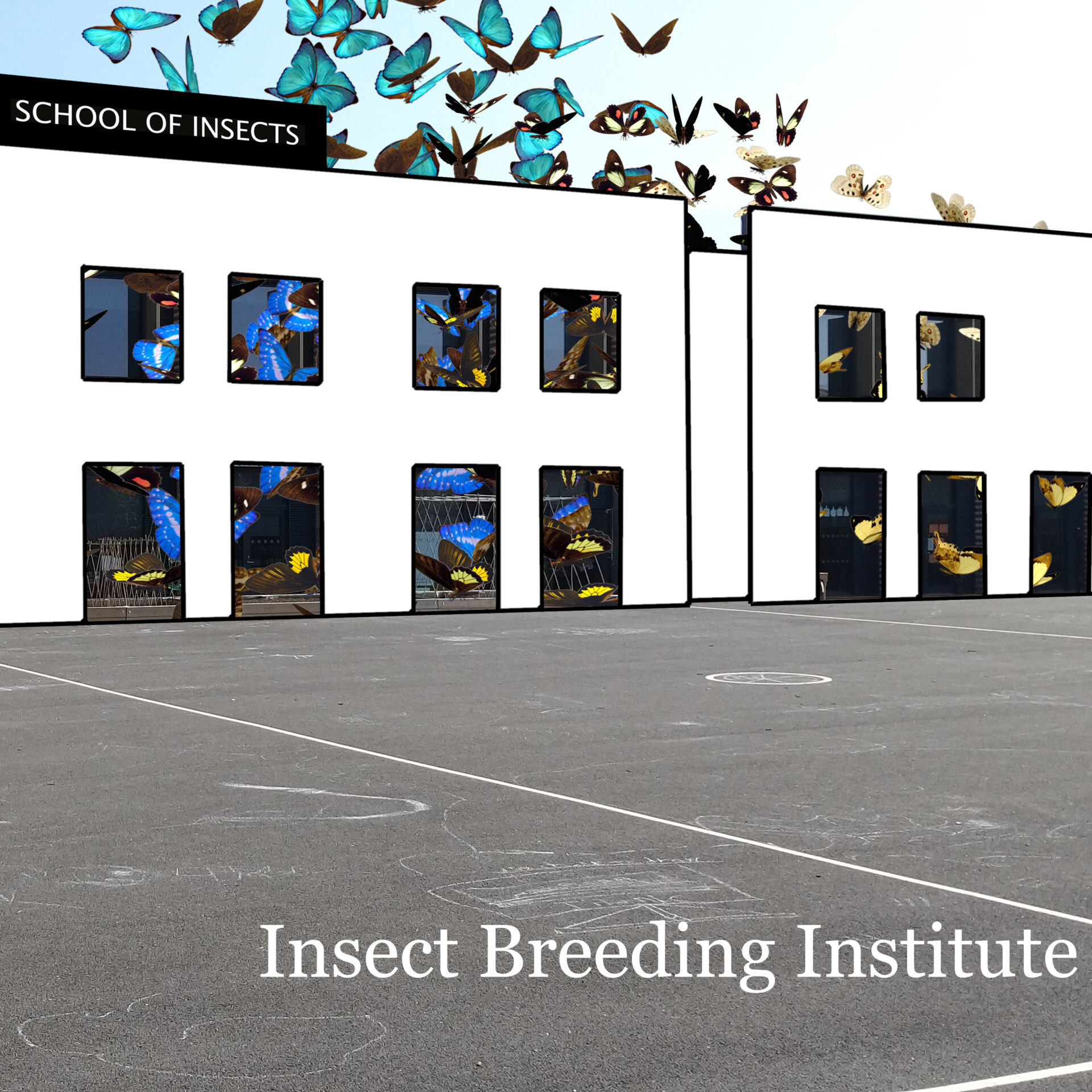 Insect Breeding Institute